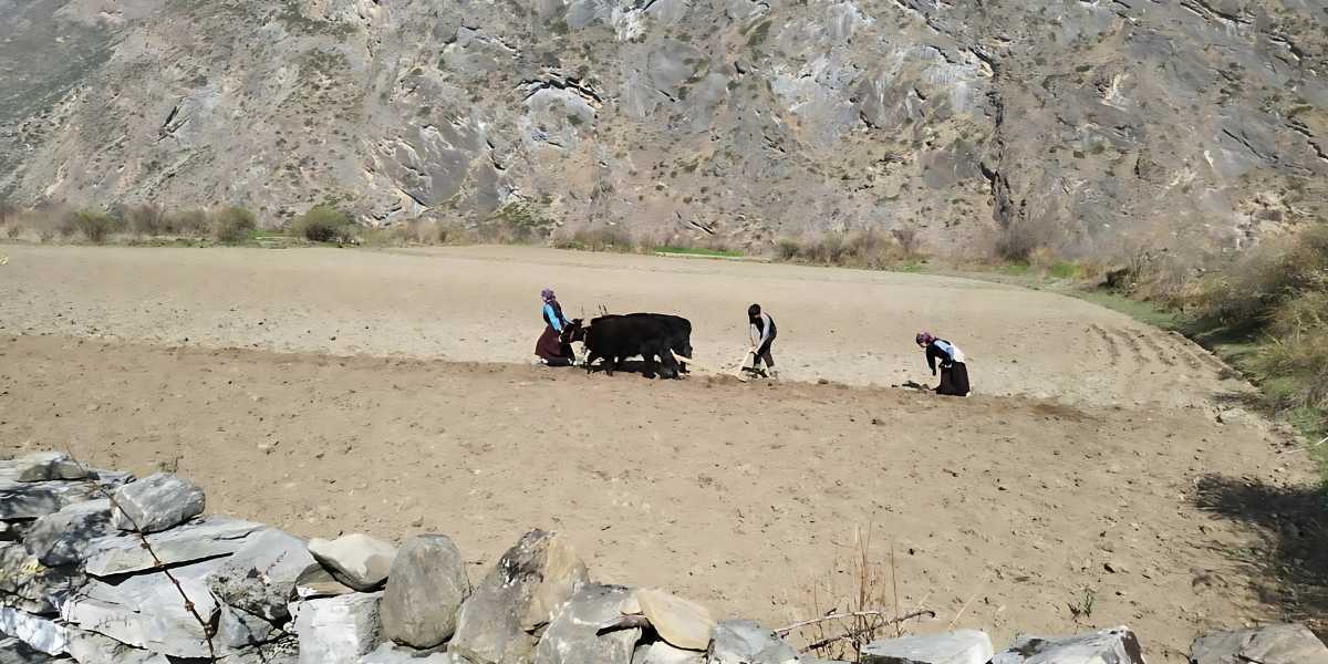 why do need permit for tsum valley trek